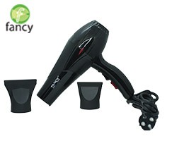 Fancy Hair Dryer